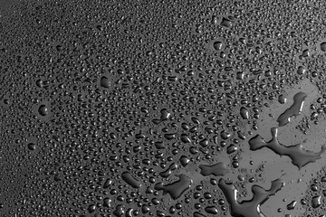 Water drops on a black background. Texture