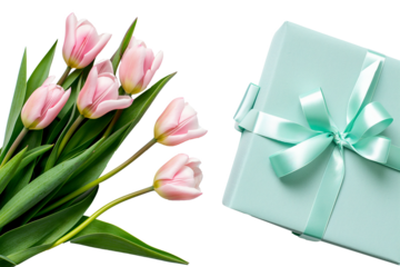 Light blue gift box with pink tulips on a transparent background