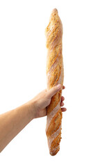 Baguette bread in hand isolated on white background - 769389205