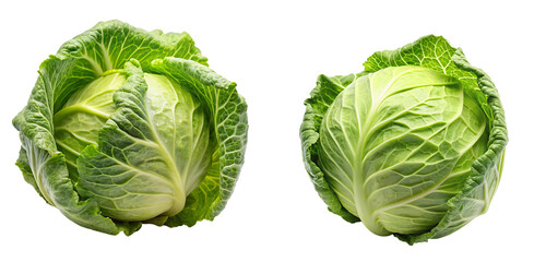 cabbage on transparent background, element remove background - obrazy, fototapety, plakaty