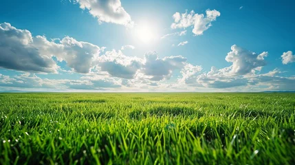 Foto op Plexiglas Green grass field under blue sky with white clouds. Nature background. AI. © Alex Alex