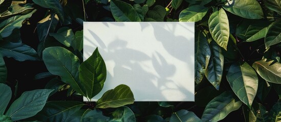 Mockup poster canvas painting template on green leaves background.