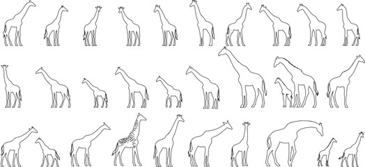 Giraffe line art