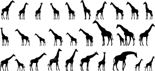 Vector Giraffe silhouettes in diverse poses