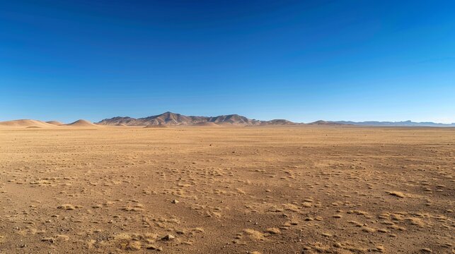 The environment: A vast desert landscape under a clear blue sky