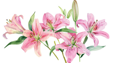 Beautiful Original Watercolor of Pink Lillies Flat vector