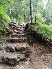 rocks in montain Terchova Slovakia