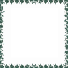 Cannabis marijuana hemp leaf green background medicine weed herb