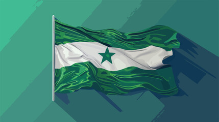 Pakistan national flag flat cartoon vactor illustra