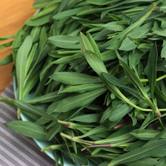 Bunch of fresh Bladder campion plants on a bowl on wooden table. Silene vulgaris plants harvest
