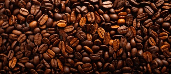 Fototapeta premium A closeup of a pile of coffee beans, a staple food ingredient used in cuisine. These seeds come from the fruit of the coffee plant, a natural food produce
