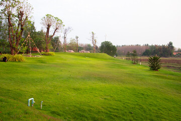 Fototapeta na wymiar A scenic spring golf course with green fairways lined by trees under a blue morning sky