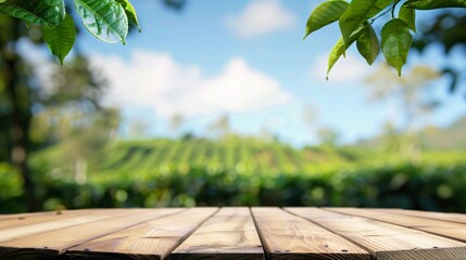 Circular wooden surface with obscured view of tea farm scenery under blue sky and hazy foliage frame Display idea with organic backdrop. - obrazy, fototapety, plakaty