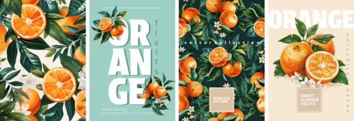  Hand drawn set of designs and patterns. Vectorized gouache illustrations. Illustrations of orange fruits with flowers and leaves for poster, prints, menu, card or textile © Nadin_Koryukova
