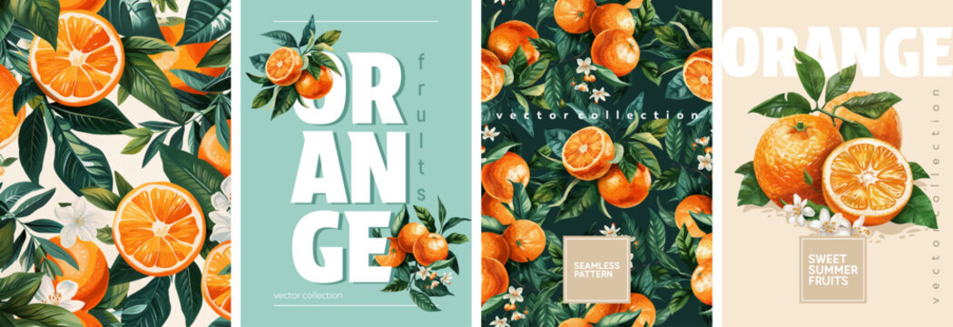 Hand drawn set of designs and patterns. Vectorized gouache illustrations. Illustrations of orange fruits with flowers and leaves for poster, prints, menu, card or textile
