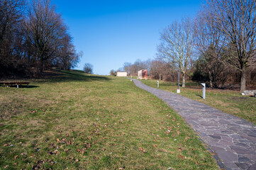 Stone path in meadow with trees nearby. Autumn.