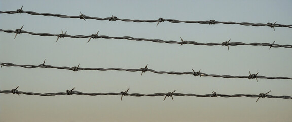 Barbed wire colorful background