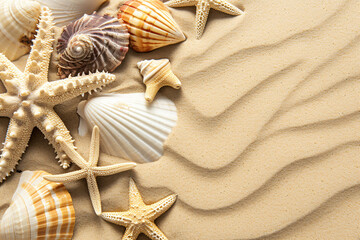 Fototapeta na wymiar photo copy space sand with shells and starfish