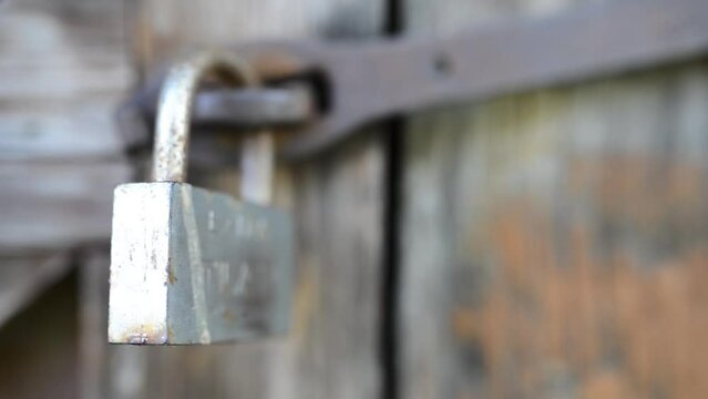 Old metal lock swinging on a rusty hinge on a dilapidated wooden shed.