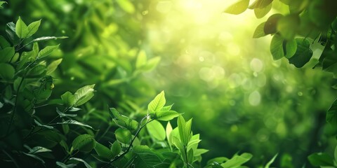 Generate an image of green nature background - Powered by Adobe