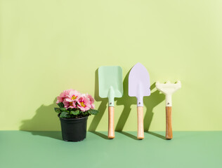 Pink Primrose and Gardening Tools on Green. evoking gardening vibes.