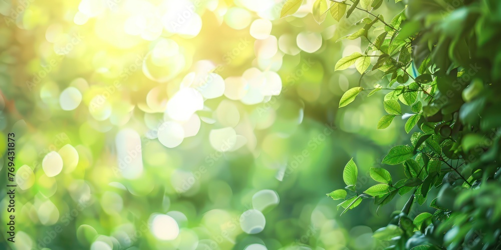 Poster generate an image of blurred nature background