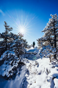 Woman hikes in Acadia National Park on beautiful snowy winter day.
