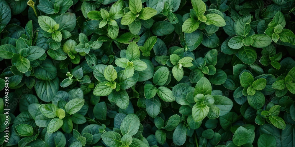 Aufkleber generate an image of nature background texture