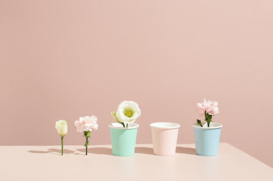 Eco-friendly coffee paper cup. Colors cup with spring flowers