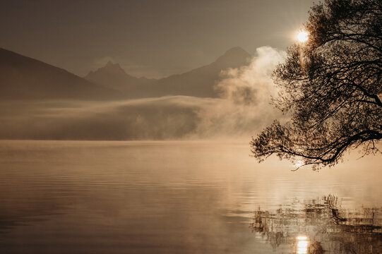 Silhouette of a tree by lake during golden sunrise with mountains