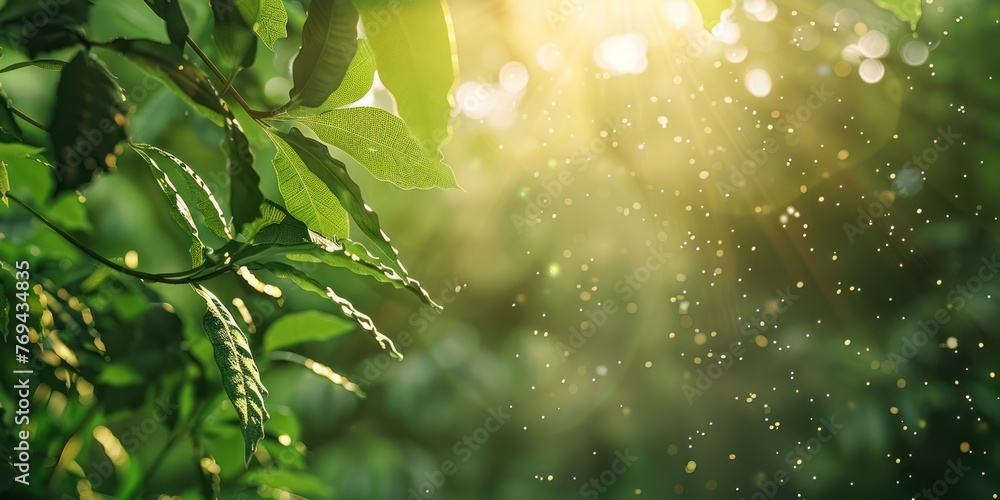 Poster generate an image of light nature background