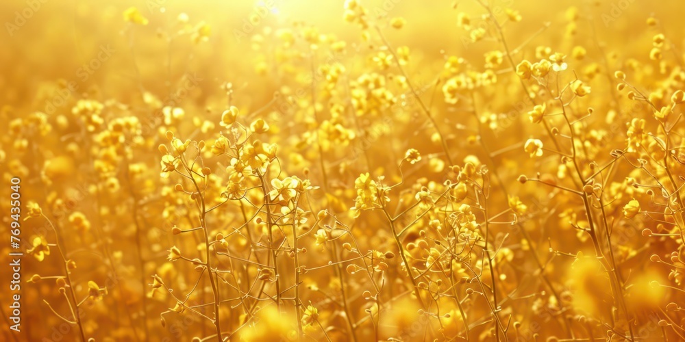 Poster generate an image of yellow nature background