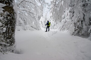 Winter landscape with frozen trees, active hiking and exploring the landscape in winter