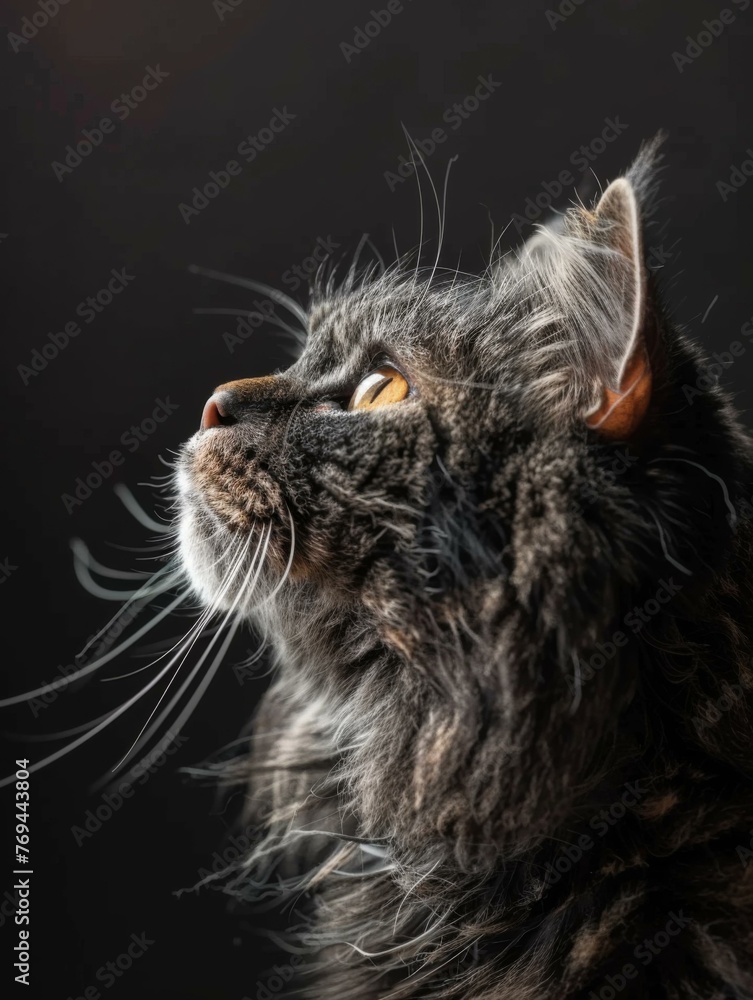 Poster a close up of a cat looking up with its head tilted. generative ai.