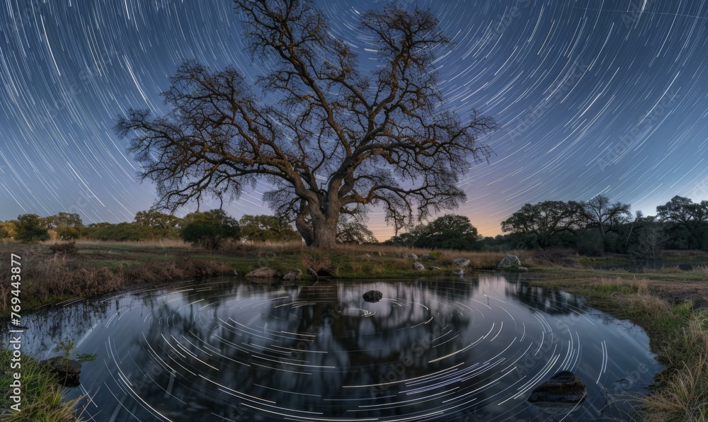 Poster a tree is sitting in the middle of a pond with a star trail in the sky. generative ai.