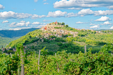View of the charming village Motovun in Istria, Croatia. Famous place for rural tourism in Croatia. - obrazy, fototapety, plakaty