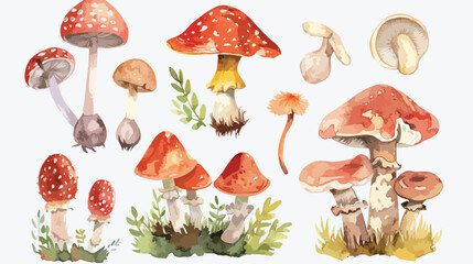 Mushrooms Watercolor flat vector isolated on white background