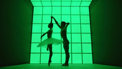 Silhouette of a beautiful couple of classical music dancers. They dance elegantly in front of a modern and futuristic green background
Concept of ecology, love for the planet, sustainability
