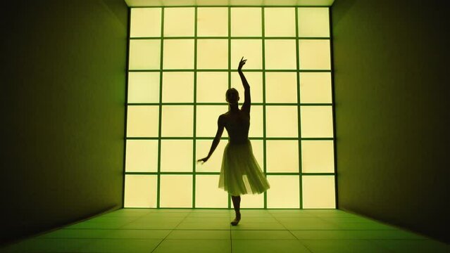 Silhouette of a beautiful classical music dancer. She dances in front of a modern and futuristic color changing background.
Concept of freedom, lgbt and colors