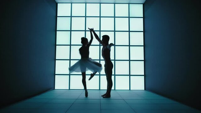 Silhouette of a beautiful couple of classical music dancers. They dance elegantly in front of a modern and futuristic white background.
Concept of freedom, passion, love