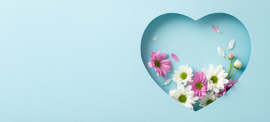 Sophisticated Mother's Day scene from top view, displaying fresh blooming chrysanthemums within a heart-shaped frame on a soft blue background, space for custom messages - obrazy, fototapety, plakaty