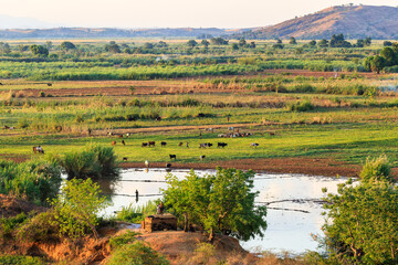 panorama of Miandrivazo countryside at sunset, Madagascar