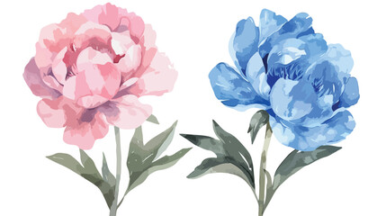 Pink  Blue Peonies Watercolor flat vector