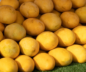 yellow mango fruit as background.