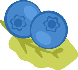 Hand drawn blueberry doodle illustration. 