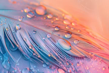 Fotobehang close-up bird feather with water drops on a pastel background with beautiful lighting © JetHuynh