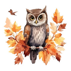 Autumn Owl Watercolor Clipart clipart isolated on whi