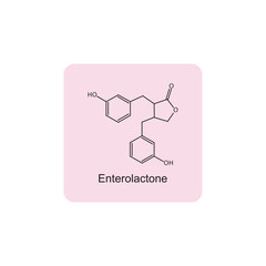 Enterolactone skeletal structure diagram.lignan compound molecule scientific illustration on pink background.