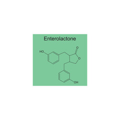 Enterolactone skeletal structure diagram.lignan compound molecule scientific illustration on green background.