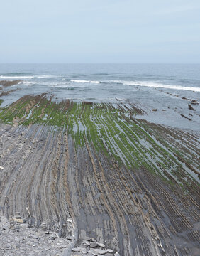 flysch